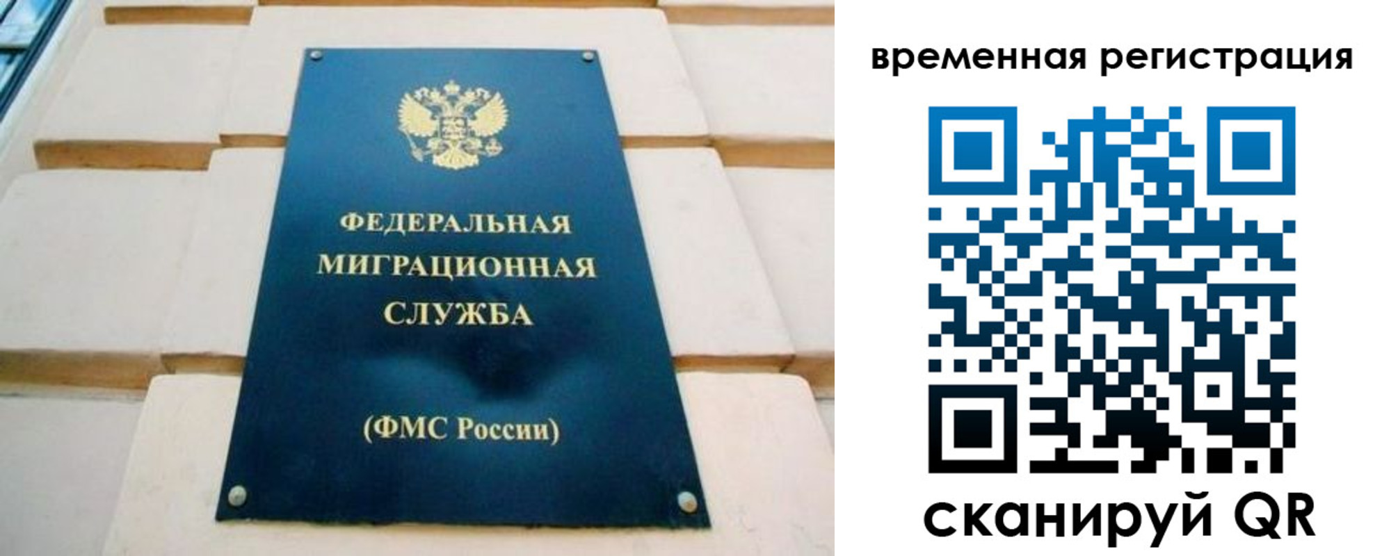прописка гарантия в Невеле